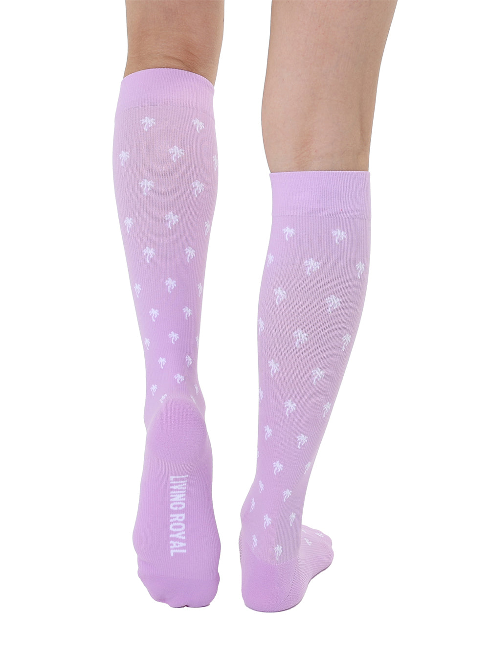 Palm Tree Compression