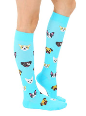 Dog Compression Socks